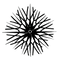 NIVORA